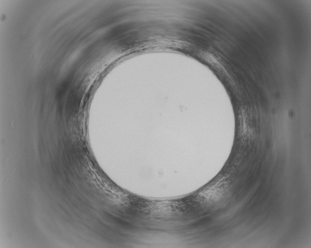 X0000057100828200509090910