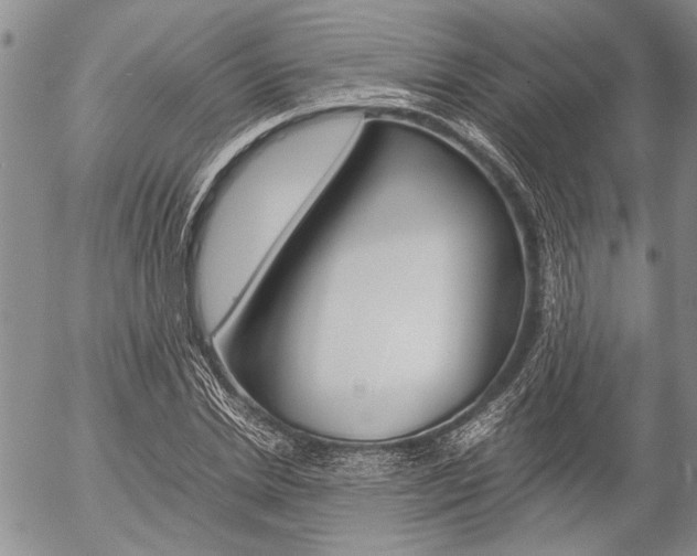 X0000057100830200509090910