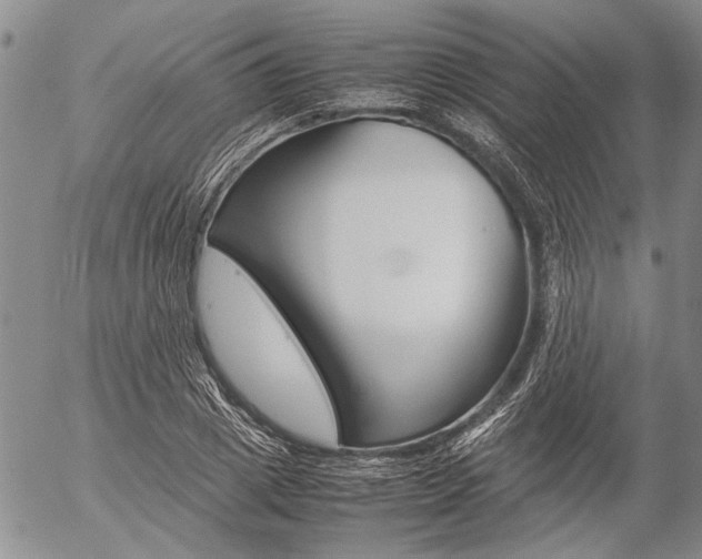 X0000057100833200509090910