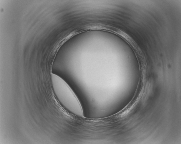 X0000057100857200509090911