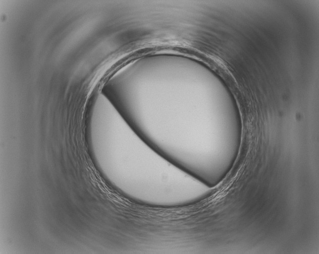 X0000057100879200509090910