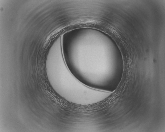 X0000057100920200509090909
