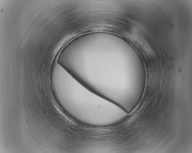 X0000057100986200509090908