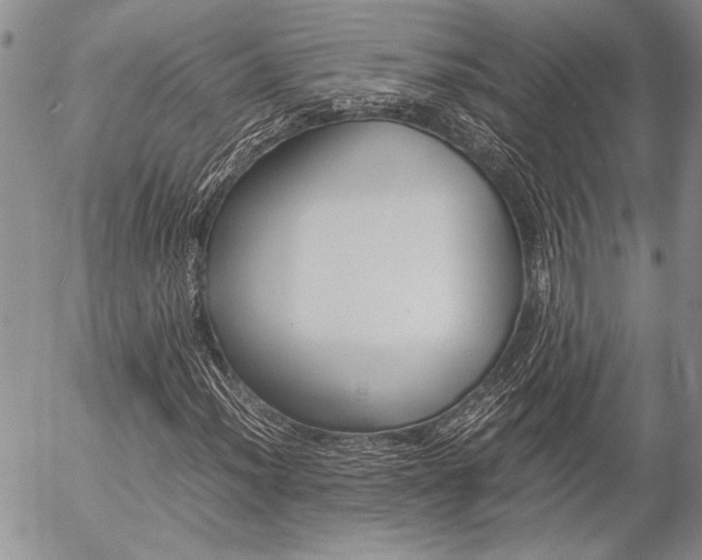 X0000057101012200509090907