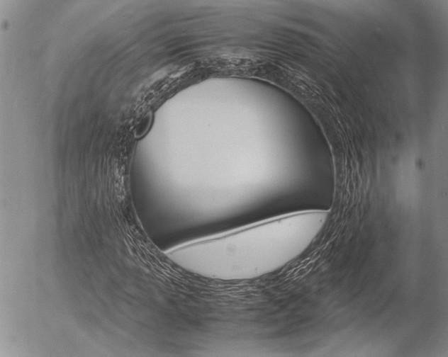 X0000057101013200509090907