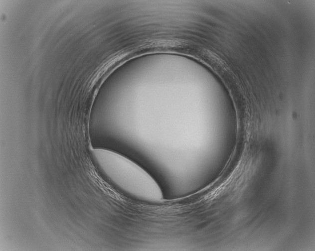 X0000057101025200509090907