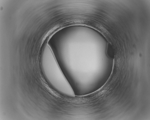 X0000057101026200509090907
