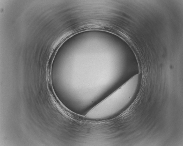 X0000057101034200509090907