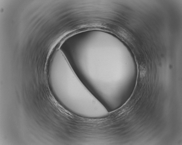 X0000057101068200509090907