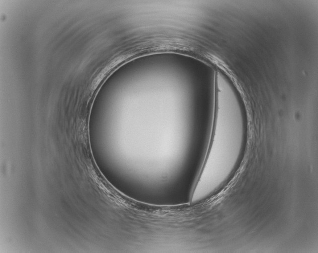 X0000057101089200509090906