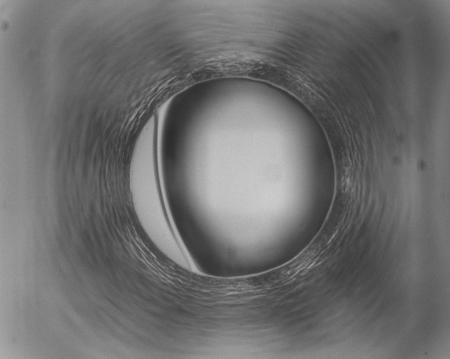 X0000057101108200509090905