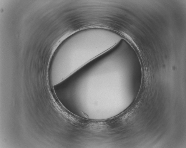 X0000057101133200509090906