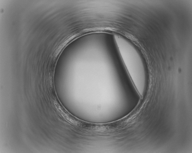 X0000057101177200509090905
