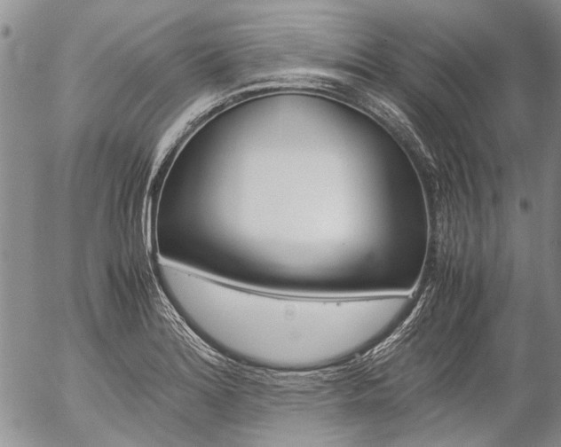 X0000057101180200509090905