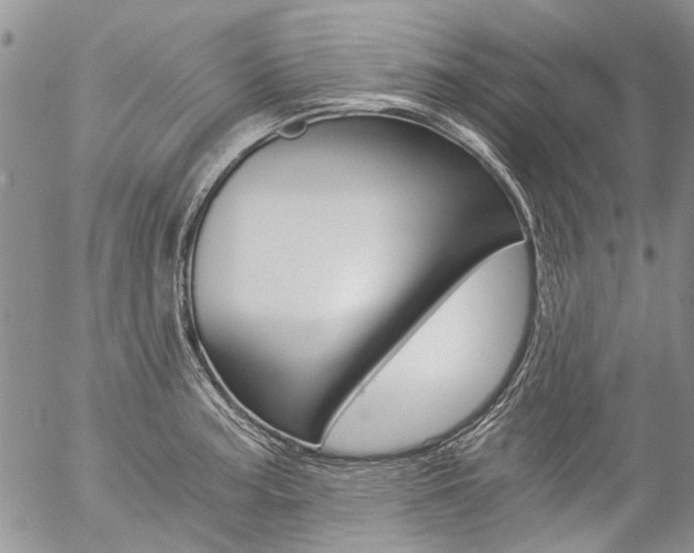 X0000057101187200509090905