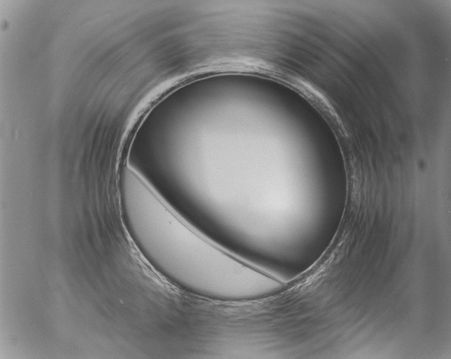 X0000057101192200509090905