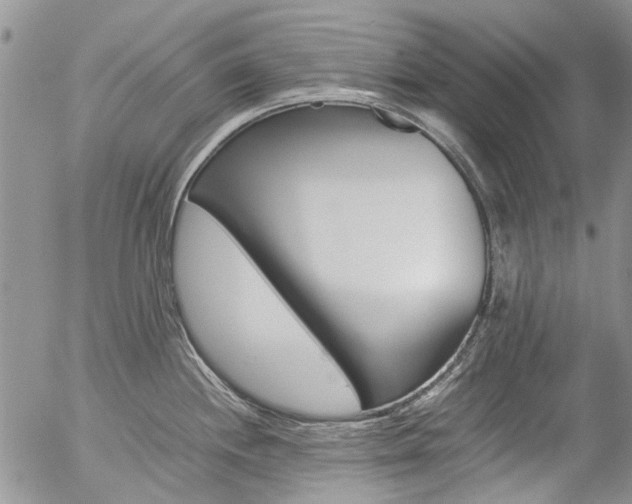 X0000057101244200509090905