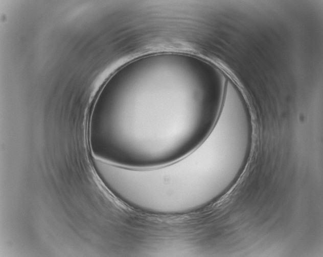 X0000057101246200509090905