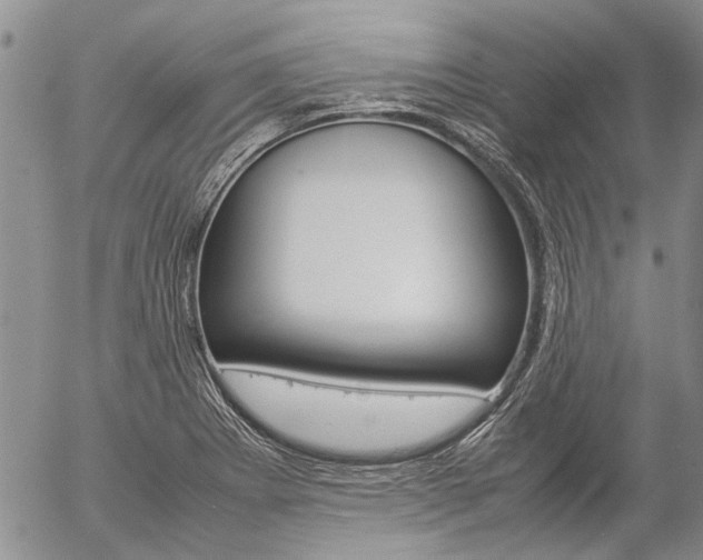 X0000057101273200509090903