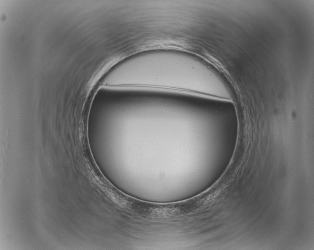 X0000057101277200509090903