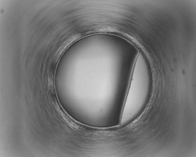 X0000057101281200509090903