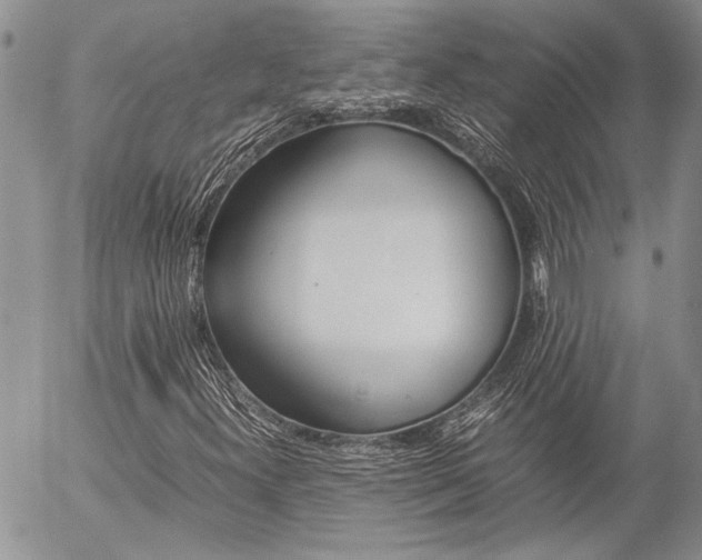 X0000057101300200509090902