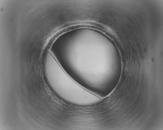 X0000057101360200509090902
