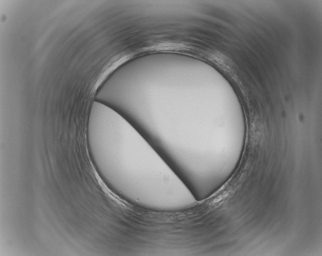 X0000057101425200509090901