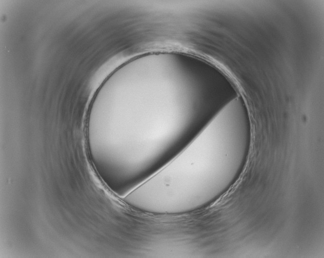 X0000057101440200509090901