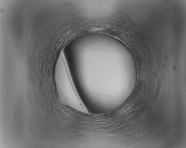 X0000057101441200509090901