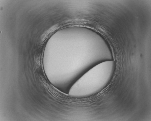 X0000057101451200509090901
