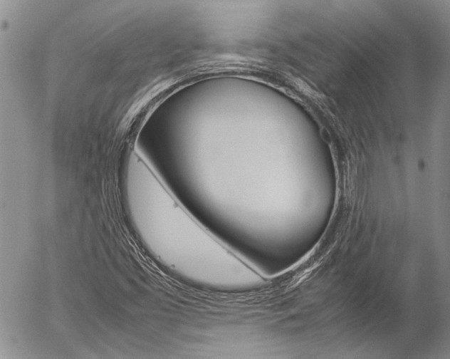 X0000057101453200509090900