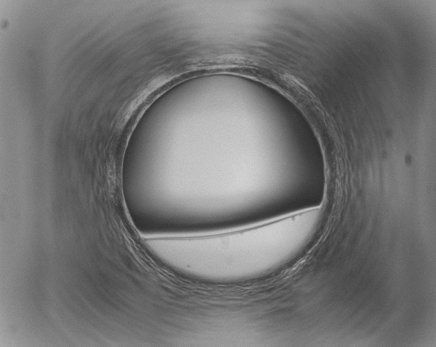 X0000057101457200509090900