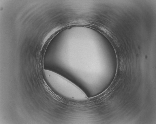 X0000057101458200509090900