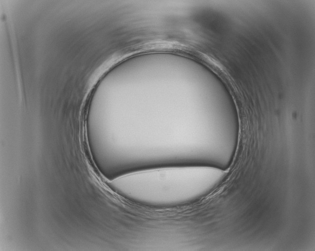 X0000057101467200509090900