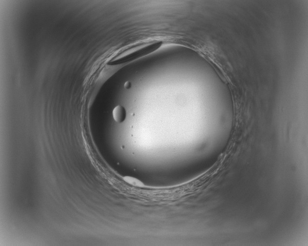 X0000057100001200509091216