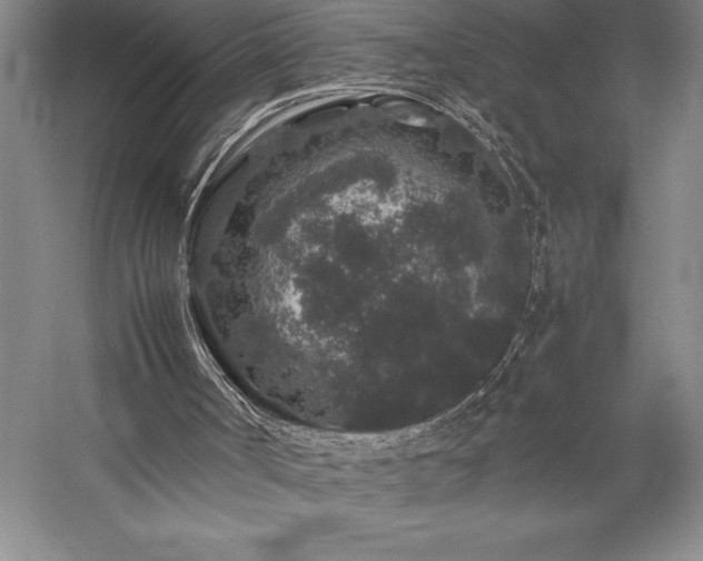 X0000057100002200509091216