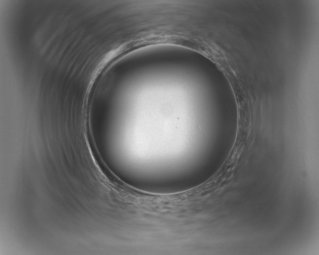 X0000057100003200509091216