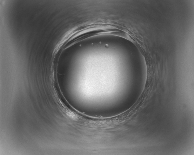 X0000057100005200509091216