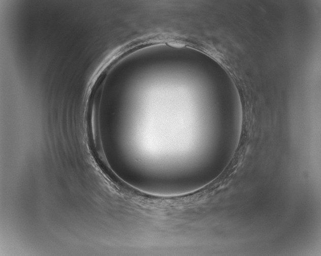 X0000057100007200509091216