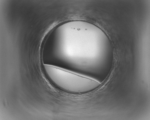 X0000057100008200509091216