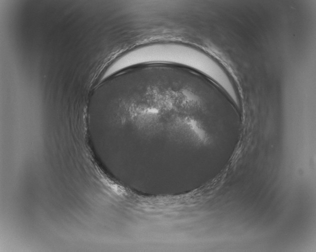 X0000057100009200509091216