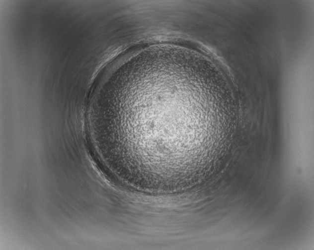 X0000057100010200509091216