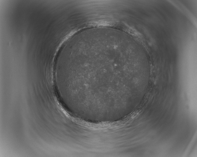 X0000057100012200509091215