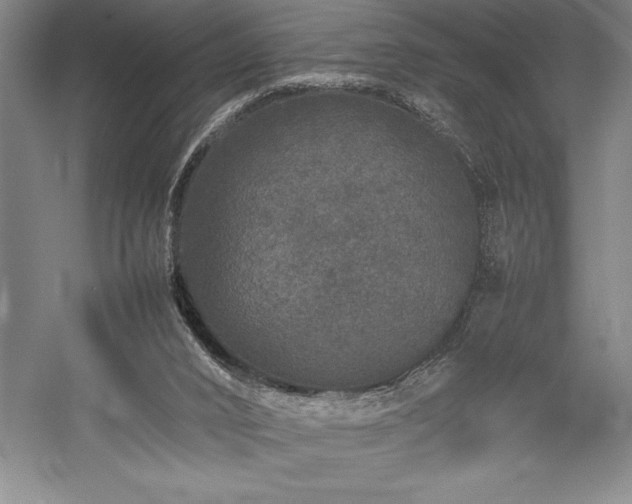 X0000057100016200509091215