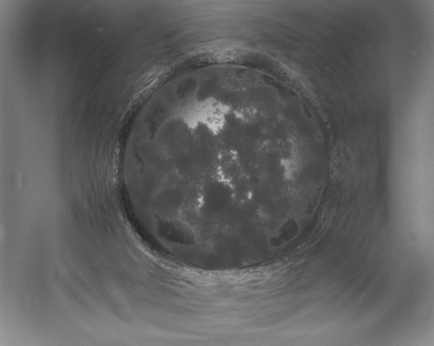 X0000057100018200509091215