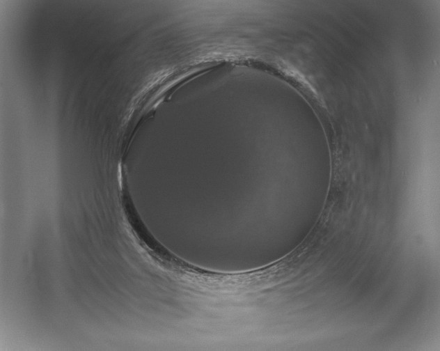 X0000057100019200509091215