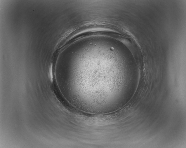 X0000057100020200509091215