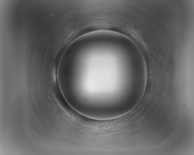 X0000057100021200509091215