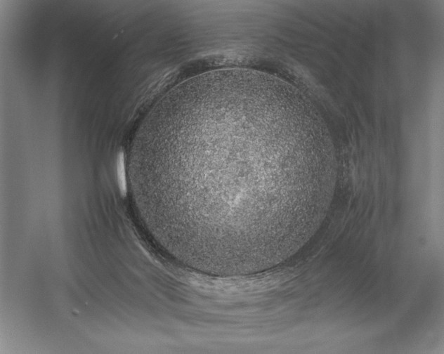 X0000057100022200509091215